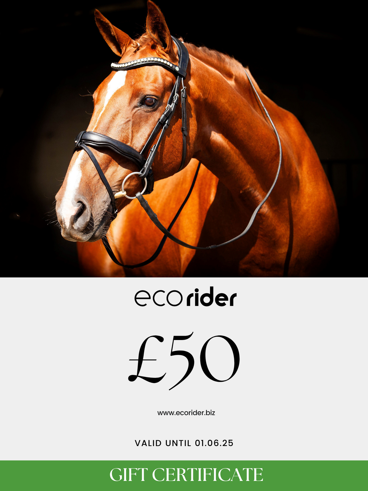 Ecorider Gift Card